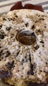 Xịt tẩy cặn canxi inox STX OSMO 680ml an toàn sức khỏe - vệ sinh chống ăn mòn vôi hóa mảng bám