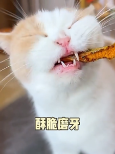 Spring Fish Freeze-Dried Cat Snacks Small Fish Dried Cat Snacks Cat Fish Dried Freeze-DriedSnacks Nutritional Weight Gain
