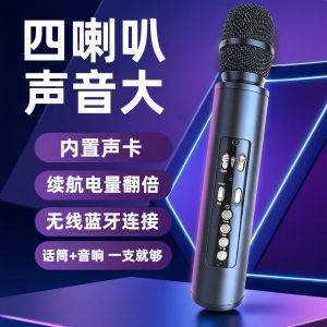 Portable Wireless Bluetooth Microphone Speaker Set Rechargeable Home Use Karaoke Singing Teaching Audio Video Electronics