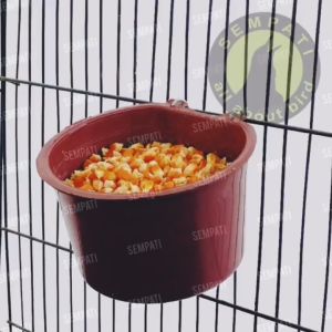 SEMPATI Cepuk Kawat Plastik Wadah Tempat Pakan Makan Minum Burung Merpati Dara Ternak Ayam Bebek Unggas Cepuk Plastik Gantung Sangkar Kandang