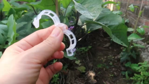 50Pcs Plant Support Clips Garden Clips Secured Plastic Plant Clips for Climbing Plants Outdoor Indoor Plant Flowers Stem Vine Fixing Clips Reusable for Garden Trellis