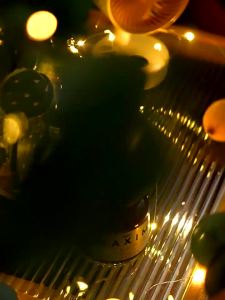 Outdoor LED decorative copper wire lights Lampu wayar tembaga solar waterproof light string 户外铜线灯