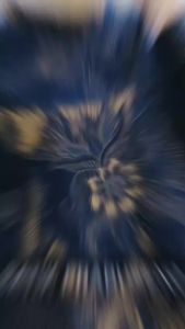 TUNIK KALIJAGA – Prabuseno Batik Wanita Modern Atasan Baju Lengan Panjang Premium Full Furing Pakaian Kemeja Kantor Adem dan Nyaman