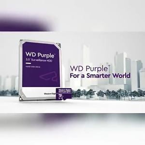 Western Digital Purple Disk mechanical disk 1TB and 2TB versions specially designed for surveillance cameras