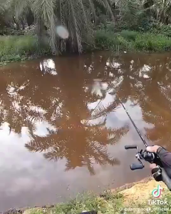 CALDARI Fishing Set Fishing Tools Full Set All Metal Fishing Reel 8kg Complete Fishing Rod Set Fishing Rod＆ Reel Set