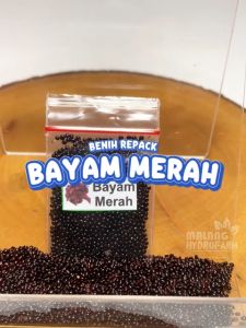 Benih Bayam Merah Unggulan berkualitas biji bibit hydroponik hidroponik sayuran tanaman sayur