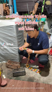 เหยื่อกำจัดหนู ยาเบื่อหนูแบบแห้ง 10 แพ็ก (อาหารที่หนูชอบที่สุด) ยากำจัดหนู 1 คืนไวสุด ยาเบื่อ หนู แรงๆ สูตรตายแห้ง ไร้กลิ่น ใช้ดี เห็นผล เหยื่อกำจัดหนูในบ้าน ซากแห้ง ไม่เน่าเหม็น ยาเบื่อหนู