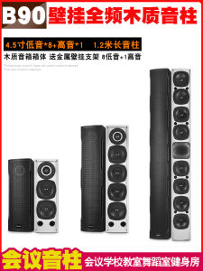 Conference Speaker Speech Lecture Hall Performance Dance Training School Classroom Gym Wall-Mounted Wooden Sound-Post Audio