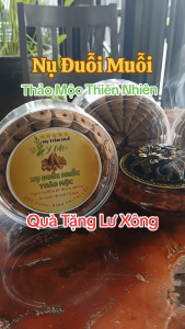 Combo 3 hộp Nụ Đuỗi Muỗi Thảo Mộc tặng 1 Lư xông trầm. Nụ trầm Y Mộc Huế nụ trầm hương sạch xông nhà thư giãn yoga thờ cúng. Đặc biệt xua đuổi muỗi