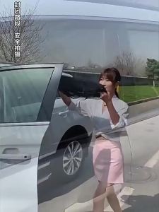 Car sunshades mosquito screens windows mosquito nets curtains sun screens mosquito nets for cars Accessories