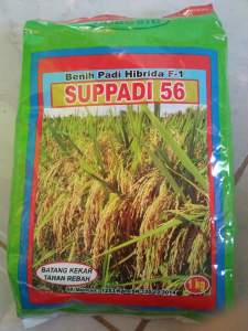 Benih Padi HIBRIDA SUPPADI 56 ORI & ASLI