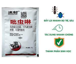 Gốc hoa hồng leo Pháp ( 16 màu - Khách tùy chọn ) - Siêu bông chịu nhiệt tốt