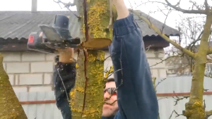 NO LIMIT Gergaji Mesin Mini Pemotong Kayu Portable Senso Cordless Chainsaw 21V 4 Inch 800W D2605