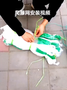 2M X 100M Giàn Lưới Hỗ Trợ Trồng Cây Dây LeoLưới Làm Giàn Cây Leo: Dưa Chuột Khổ Qua Mướp Bầu Bí - MOGEE