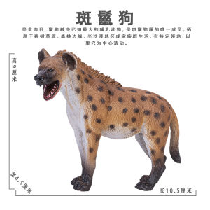 Educational Solid Plastic Animal Models Toy for Kids Realistic Zoo Simulation Brown Bear Elephant Tiger Lion Playset