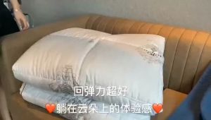 Ruột chăn lông vũ Hilton siêu nhẹ hàng cao cấp chính hãng năng 3kg KT 2mx2m3