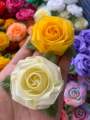 โปรยทานดอกกุหลาบโลลิตา 20(ดอก)คละสี. 