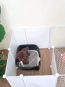 Pet cage Dog cage Cat cage Foldable pet cage Rabbit cage Pet metal fence Large pet fence Pet delivery room