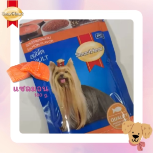 Smart Heart สมาร์ทฮาร์ท อาหารสุนัขเปียก รสแซลมอน 130 กรัม