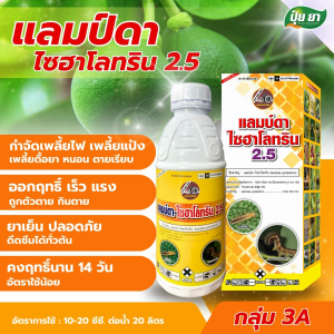 กำจัด เพลี้ยอ่อน เพลี้ยไฟ เพลี้ยจักจั่น แมลงหวี่ขาว หนอน แมลงปีกแข็ง แลมป์ดาไซฮาโลทริน ปุ๋ยยา 1 ลิตร