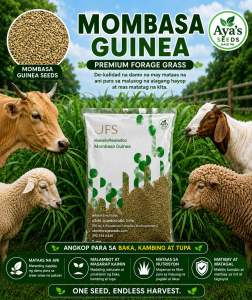 MOMBASA SEEDS 1kg