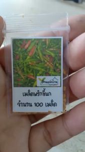 100 เมล็ด พริกขี้หนู เมล็ดพริกขี้หนู พริกขี้นก เมล็ดพริกขี้นก พริก เมล็ดพริกหอม เมล็ดพริก