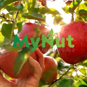 MYNUT CUKA APEL 1000 ML: Cuka Apel Berkualitas Tinggi & Herbal Premium