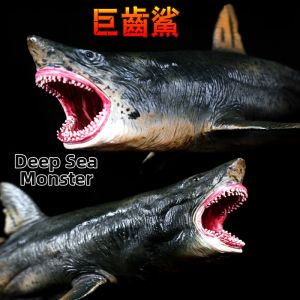 Realistic Megalodon & Great White Shark Model Toys