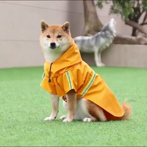 สินค้าอยู่ในไทย พร้อมส่ง😺เสื้อกันฝนสัตว์เลี้ยงกันน้ำ อกันฝนสุนัขพร้อมแถบสะท้อนแสง