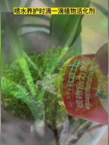 #SG Local#Super Concentrated Nutrient Solution For Plant Universal Vitality Literacy Flower 植物万能素养花超浓缩营养液🌸