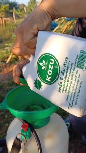 EM ( Kazu ) 1 ลิตร x 2 - หัวเชื้อจุลินทรีย์อีเอ็ม Kazu ( อีเอ็มคิวเซ ) แท้ 100%