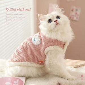 Cute Warm Cat Vest for Kittens Autumn Winter Pet Clothes Anti Shedding Small Cat Clothes Soft Cotton Rabbit Pattern Hoopet