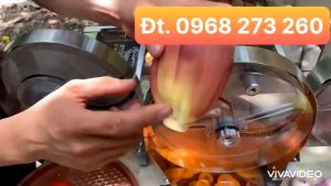 Máy Thái Lát Hoa Quả Chạy Điện ( Điều Chỉnh ĐỘ Dày Mỏng)