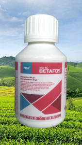 BETAFOS 550SC 100ml | Insektisida Kontak Sistemik Obat Ulat & Wereng | Klorpirifos + Beta Sihalotrin