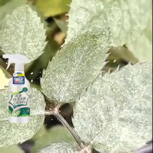 แมลง🐞ยากำจัดแมลงพืช 500g ยาฆ่าแมลง ยากำจัดหนอน สารกำจัดแมลง ยาฆ่าแมลงกินใบ ยากำจัดเพลี้ย ยาฆ่าเพลี้ย ​หนอน มด เกษตร สว