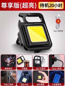 Rechargeable LED Keychain Light Outdoor Mini Torch Light Portable Multi-Function Personal Work Light USB Charging Camping Travel Gear