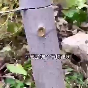 SUPER SHARP SAW Mini Woodworking Saw Hand SAW HAND Saw Soft Japanese Style Collapsible SK5