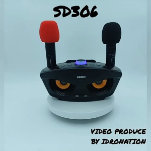 SDRD SD 306 ไมโครโฟนคาราโอเกะ/KTV แบบพกพาพร้อมบลูทูธ