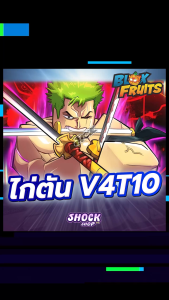 การ์ดไก่ตัน V4T10 สุ่มของในตัว แมพ Blox Fruits การ์ดสวยภาพคมชัด