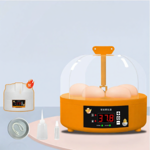 RONGCE | Automatic Temperature Control Intelligent Home Egg Incubator