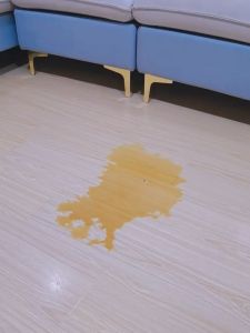 MXNEC ชุดไม้ถูพื้น ถังพลาสติก/ถังปั่นแห้งสแตนเลส รุ่น M-613