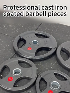 Weight Plates Dumbbell Plates cast iron dumbbell set 2.5LB/5LB/10LB/25LB/35LB/45LB weightlifting strength training barbell weight plate rust-proof and drop-proof design home gym squat deadlift bench press equipment