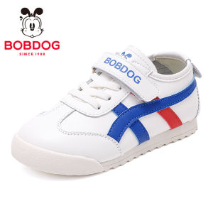 Bobdog | Boys Autumn Training Shoes