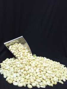 Kacang Tanah Kupas tuntas