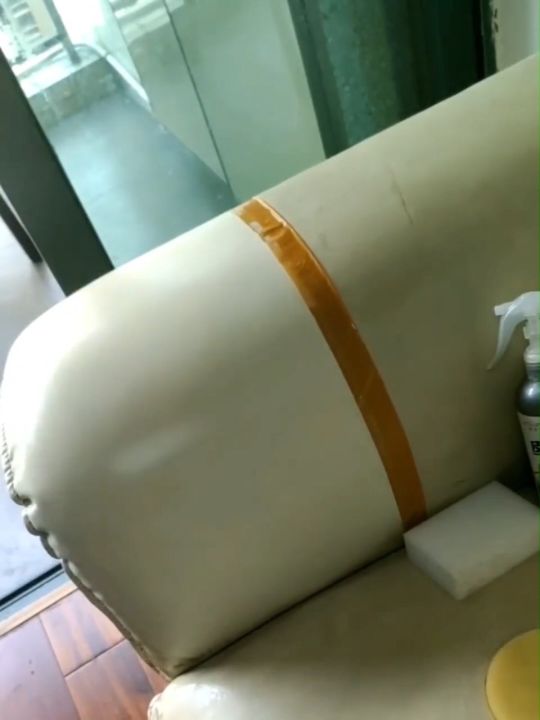 Leather Cleaner Mould Remover Leather Stain Remover Clean and Protect