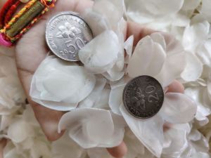 〔1kg〕深海野生顺丰鱼鳞片Deep sea wild scales