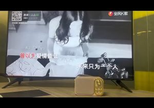 Loa bluetooth YS-103 Kèm 1 Micro không dây loa bluetooth mini nhỏ nhẹ hát karaoke mọi lúc mọi nơi Bảo hành 12 tháng