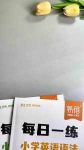 🔥正版🔥学练结合 小学英语语法 52天科学规划|学练结合|视频精讲|重点归纳