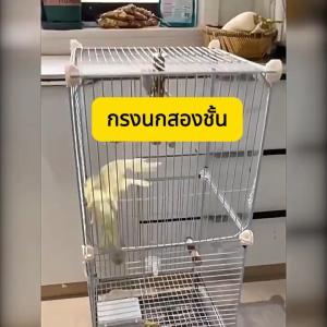 กรงนกแก้วอะคริลิคใส กรงนกขนาดใหญ่ แชสซีสูง ทำความสะอาดง่ายพื้นที่กว้างขวาง เหมาะสำหรับ ฟอพัส นกหัวจุกคอกคาเทลซันคอนัวร์น