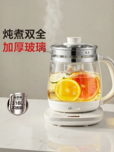 Bear | Multifunctional Electric Water Kettle 2026 New Model